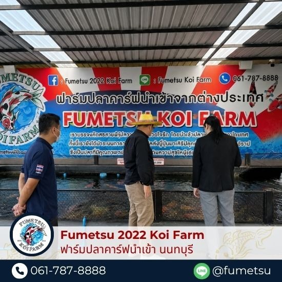 ฟาร์มปลาคาร์ฟ ใกล้ฉัน - ฟาร์มปลาคาร์ฟนำเข้าจากญี่ปุ่นแท้ 100% - Fumetsu Koi Farm