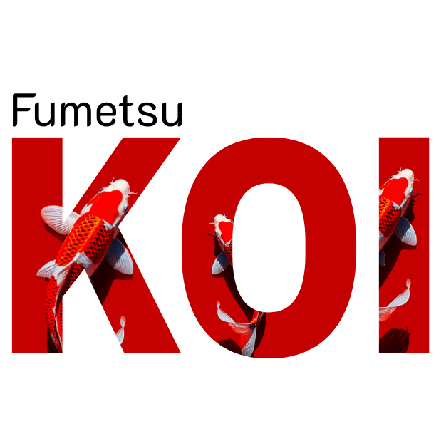 ศูนย์รวมปลาคาร์ฟญี่ปุ่นนำเข้าแท้ 100% ศูนย์รวมปลาคาร์ฟญี่ปุ่นนำเข้าแท้ 100%